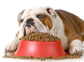 Comment sont fabriqu�es les croquettes de votre chien ?