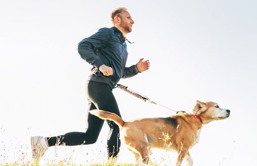 Courir avec son chien, les bonnes pratiques à adopter ! Courir avec son chien, les bonnes pratiques à adopter !