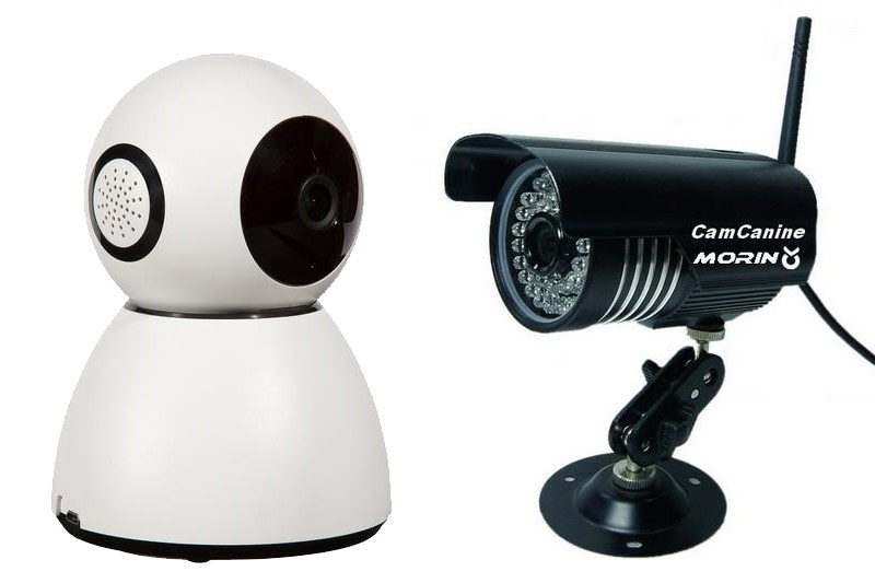 La cam�ra de surveillance chien et chat, une bonne id�e ?