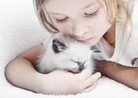 Bar � chat, le nouveau ph�nom�ne !