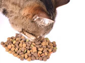 Comment sont fabriqu�es les croquettes de votre chat ?