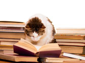 L'�ducation du chat