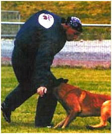 Championnat de France Ring