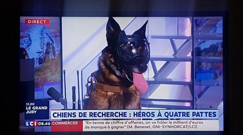 K9 Vision System, syst&eacute;me de cam&eacute;ra pour chien et brigade cyno