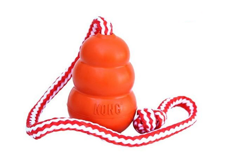 jouets flottants pour chiens et chiots