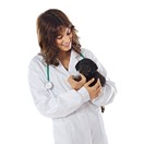 Penser � l'hygi�ne dentaire de votre chien