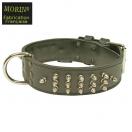 Collier chien en cuir clout� nickel� cousu double.