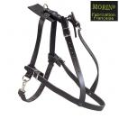 Harnais de pistage pour chien mod�le "Poitrail"