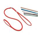 Laisse collier de pr�sentation du chien