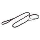 Laisse de pr�sentation avec collier semi-�trangleur avec cha�ne