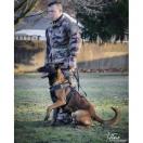 Harnais r�glables pour chiens, boucle rapide extra robuste - image 2