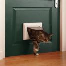 Porte � verrouillage manuel - Staywell - image 3