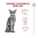 Royal Canin Exigent Fussy pour chat difficile - image 2