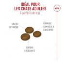 Royal Canin Exigent Fussy pour chat difficile - image 3