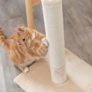 BATRES - Arbre � chat - image 3