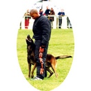 Costume semi-entra�nement - MORIN Sport Canin - image 3