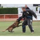 Costume semi-entra�nement - MORIN Sport Canin - image 4