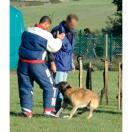 Costume semi-entra�nement - MORIN Sport Canin - image 5