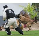 Costume comp�tition - MORIN Sport Canin - image 4