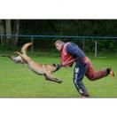 Costume comp�tition - MORIN Sport Canin - image 5