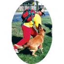 Costume d�conditionnement Kevlar & Cordura - MORIN Sport Canin - image 6