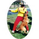 Costume d�conditionnement Kevlar & Cordura - MORIN Sport Canin - image 7