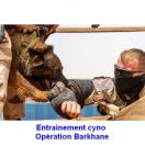 Manchette de d�conditionnement avec Kevlar - MORIN Sport Canin - image 3