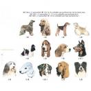 Autocollant - t�te de chien (de la race 1 � 71)