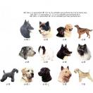 Autocollant - t�te de chien (de la race 1 � 71) - image 5
