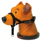 Collier d��ducation HALTI pour chien