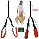 Laisse / harnais de soutien pour chien � mobilit� r�duite