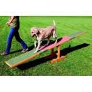 Balan�oire Agility Training Concept