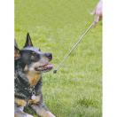 Target stick t�l�scopique - Baguette d��ducation - image 2