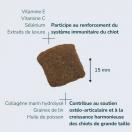 Croquettes Flatazor Prestige Junior Maxi pour chiots - image 3