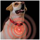 M�daille lumineuse