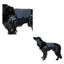 Ceinture lombaire pour chien en tissu th�rapeutique