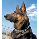 Collier �trangleur Neck Tech Sport - Qualit� Pro HS - image 2