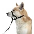 Collier d��ducation Dog Control type Halti