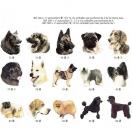 Autocollant - t�te de chien. (de la race 72 � 144)