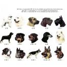 Autocollant - t�te de chien. (de la race 72 � 144) - image 2