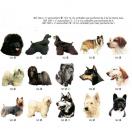 Autocollant - t�te de chien. (de la race 72 � 144) - image 5