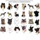 Autocollant - t�te de chien et chat (de la race 145 � 168)