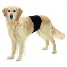 Slip d�incontinence pour m�les