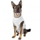 Body protection - image 4