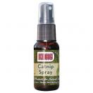 Spray Herbe � chat - Kong