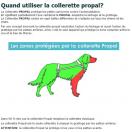 Propal - syst�me de contention - image 5