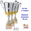 Lot de 3 troph�es assorties (Coupes)