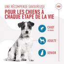 Friandise Training Treats - Royal Canin - image 3