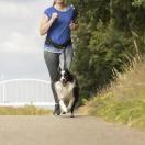Ceinture + laisse de randonn�e Doggy Jogging - image 2