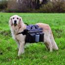 Sacoche de randonn�e pour chien - Sport Canin